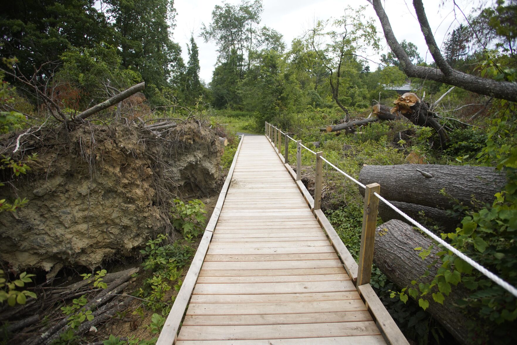 BOARDWALK-2.jpg